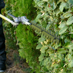 Κλαδευτήρι Μπορντούρας Για Πολυμηχάνημα Βενζίνης 3282 2