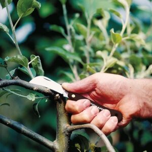 Σουγιάς-Εμβολιασμού-κυρτός-Fiskars-K62