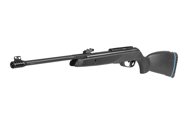 GAMO BLACK BEAR IGT 5.5 TOURIS