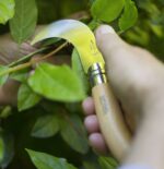 Σουγιάς-Opinel-No-10-με-Γυριστή-Λάμα-000657