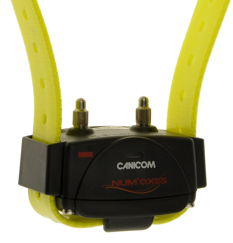 Τουρίς Κολάρο Canicom Receiver Κίτρινο